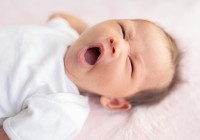 shutterstock1661279890 shutterstock1661279890
