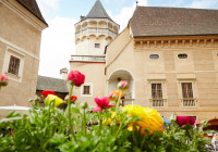 waldviertler-ostermarktc-lichtstark